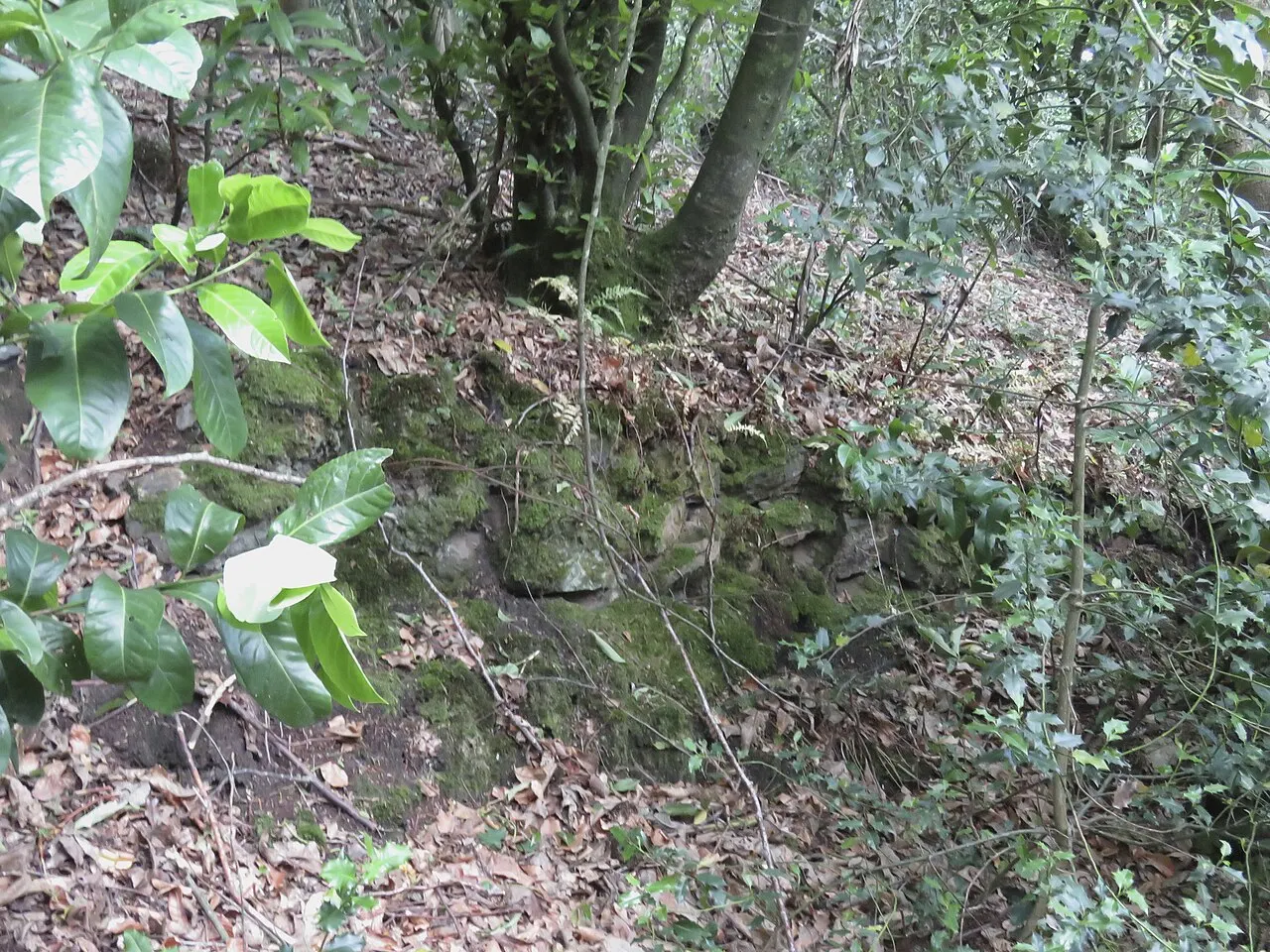 Oppidum du Château Meignan