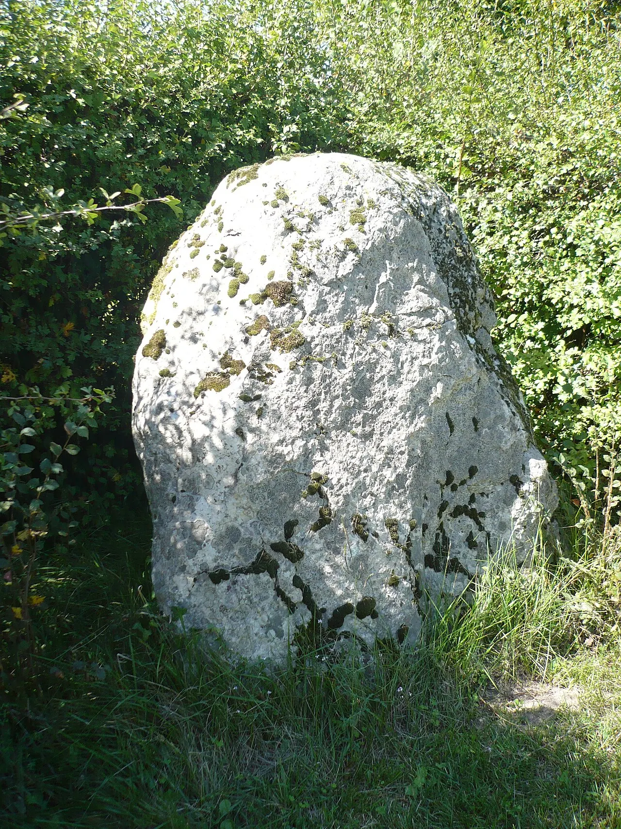 Menhir et dolmen dits L’Aurière