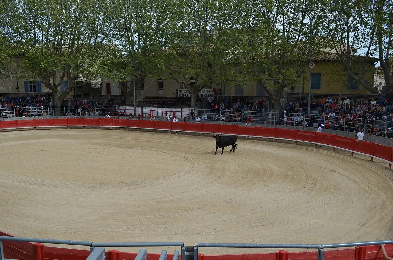Arènes Guy Hugon
