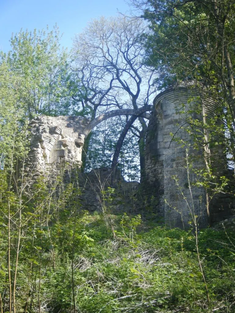 Château des comtes de Nevers (ancien)
