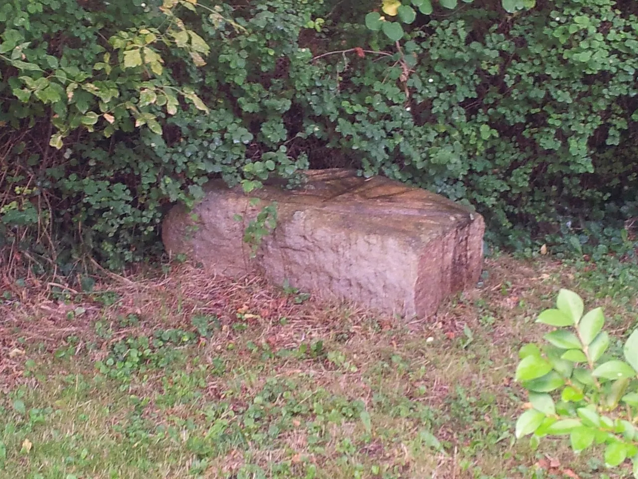 Terrains avec dolmen