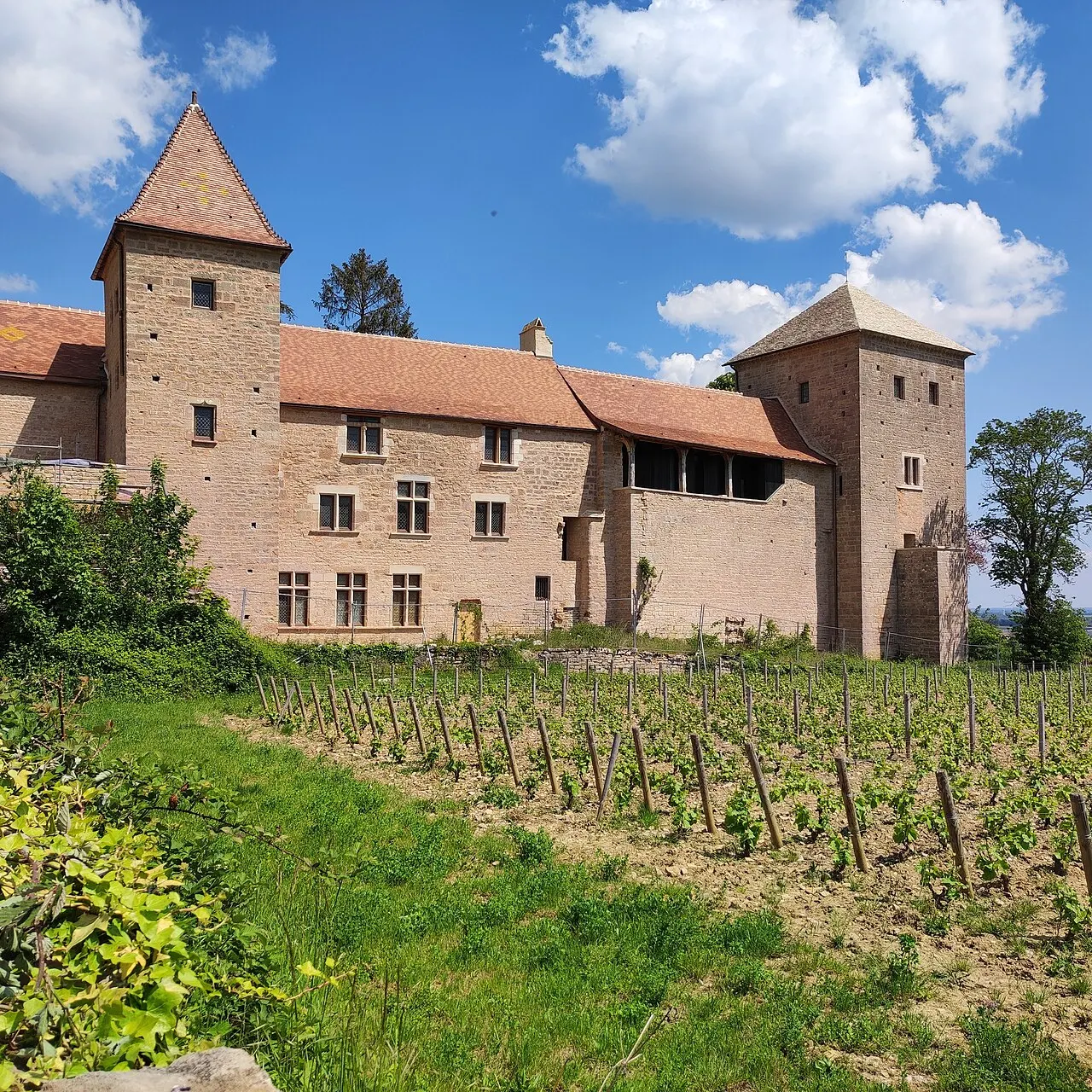 Château de Gevrey-Chambertin