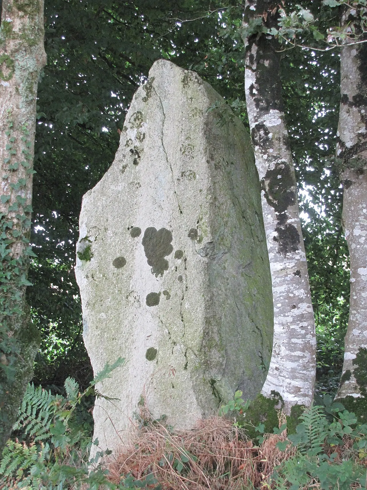 Menhir de Guernangoué