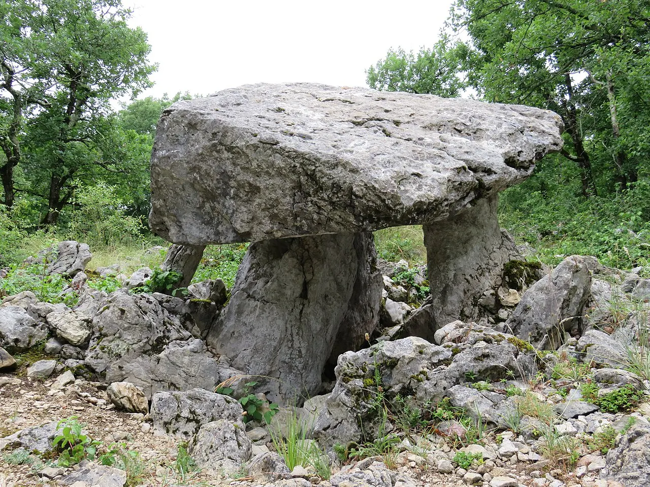 Dolmen de Brillaud