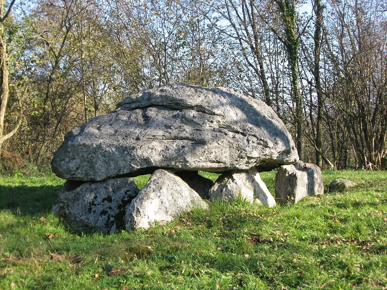 Calhau de Teberno (Le Dolmen de Buzy)