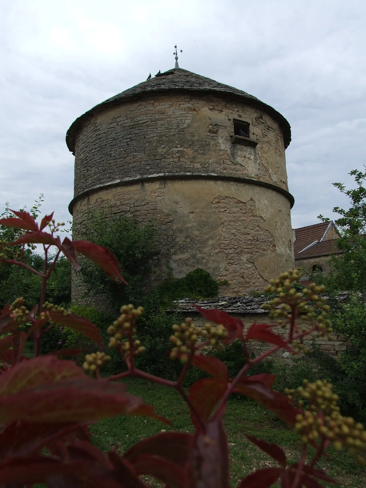 Colombier