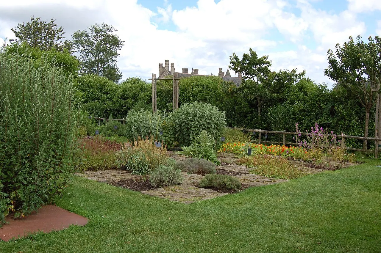 Jardins méditérranéens