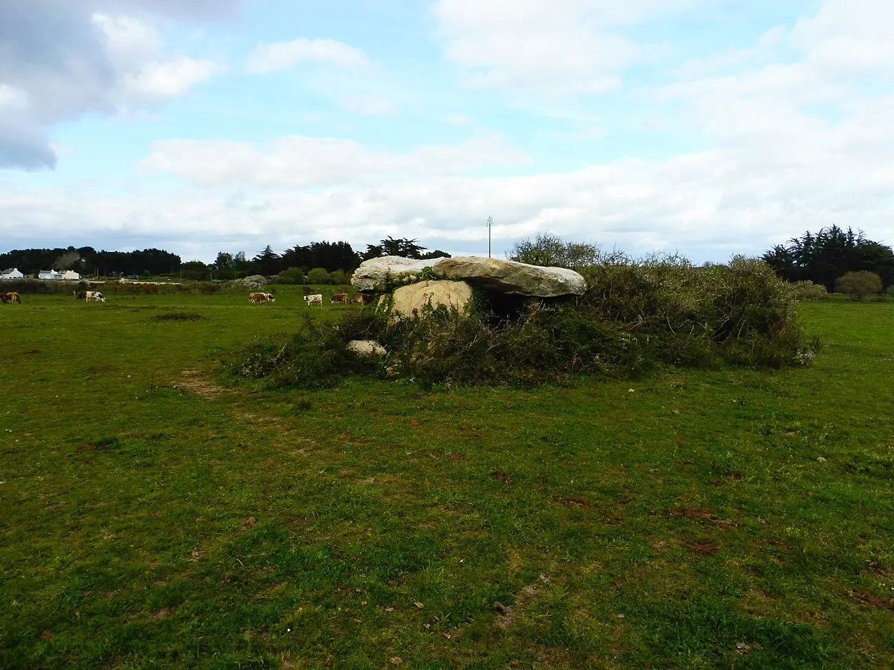 Dolmen de Saint-Pierre-Loperec