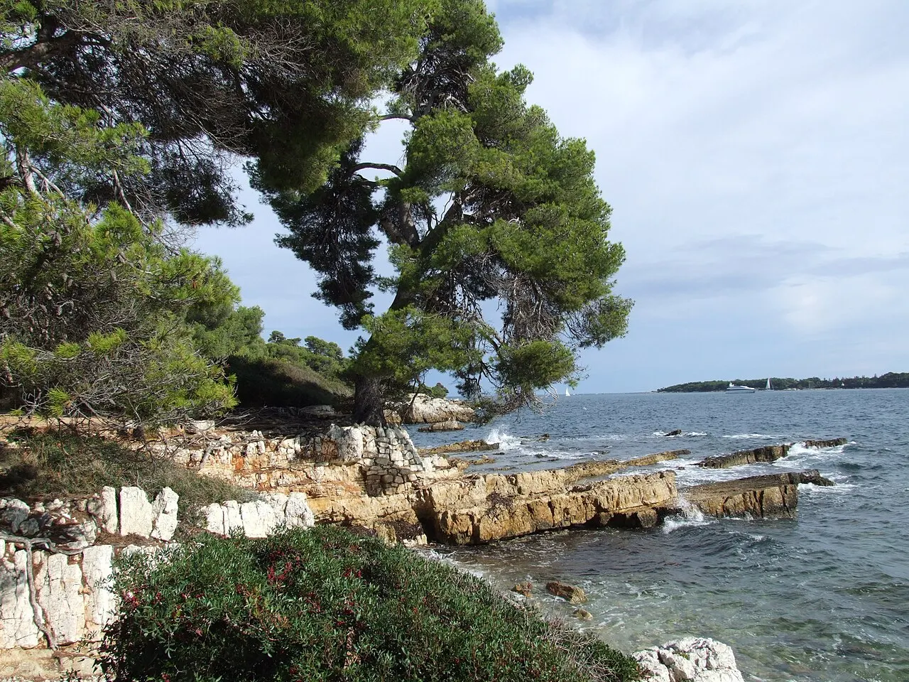 Île Sainte-Marguerite