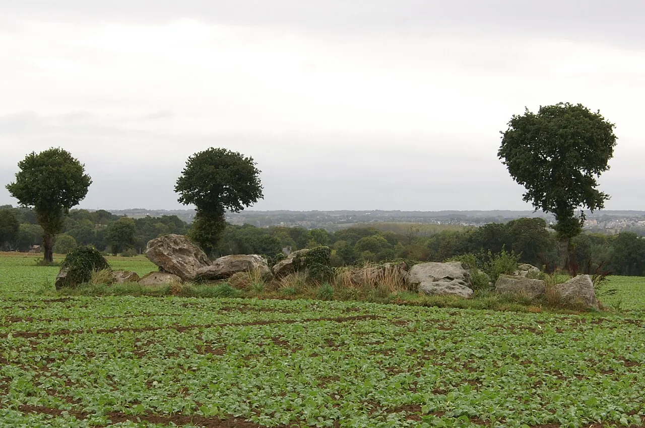 Allée Couverte de la Hautière