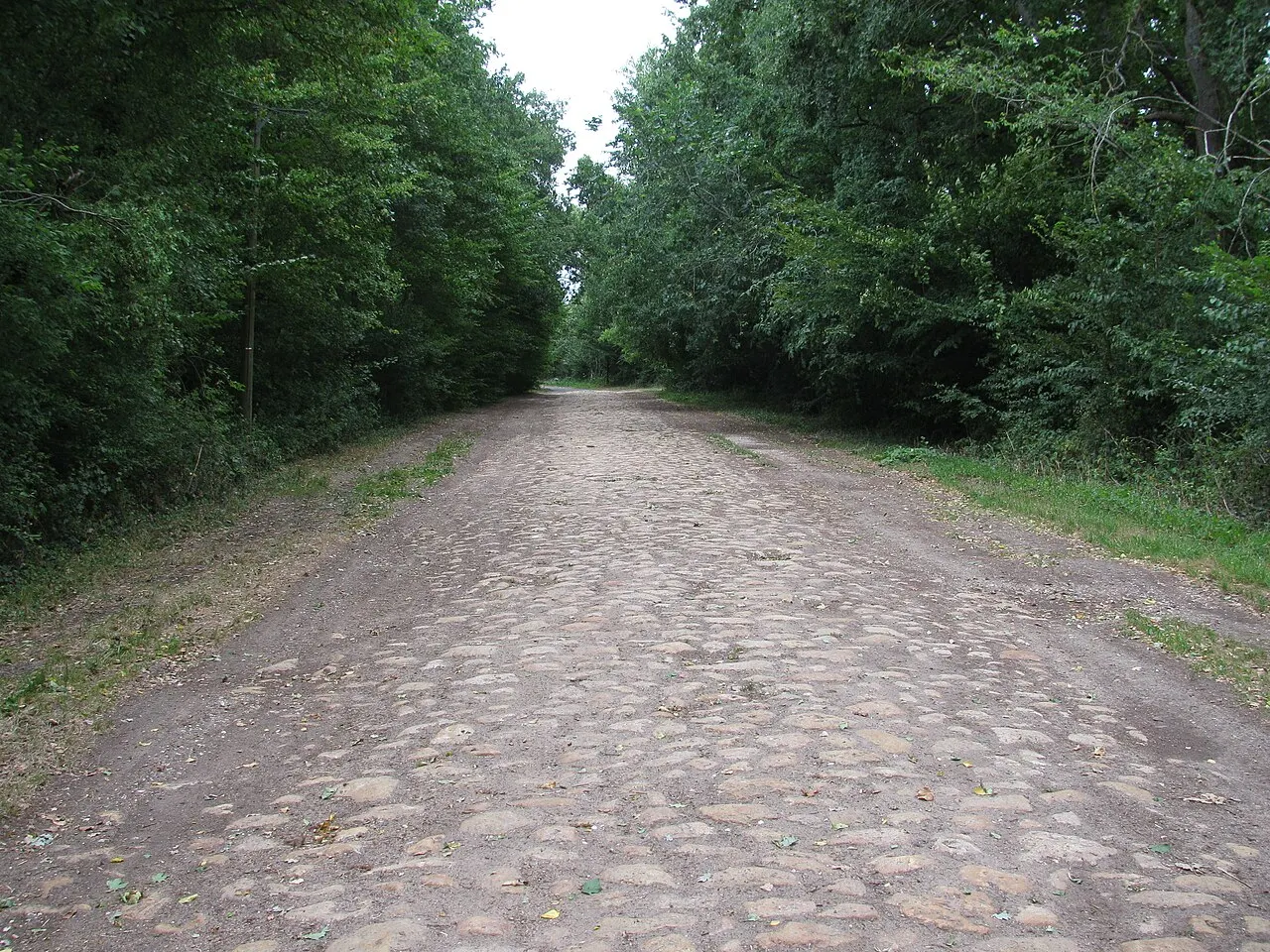 Ancienne route royale