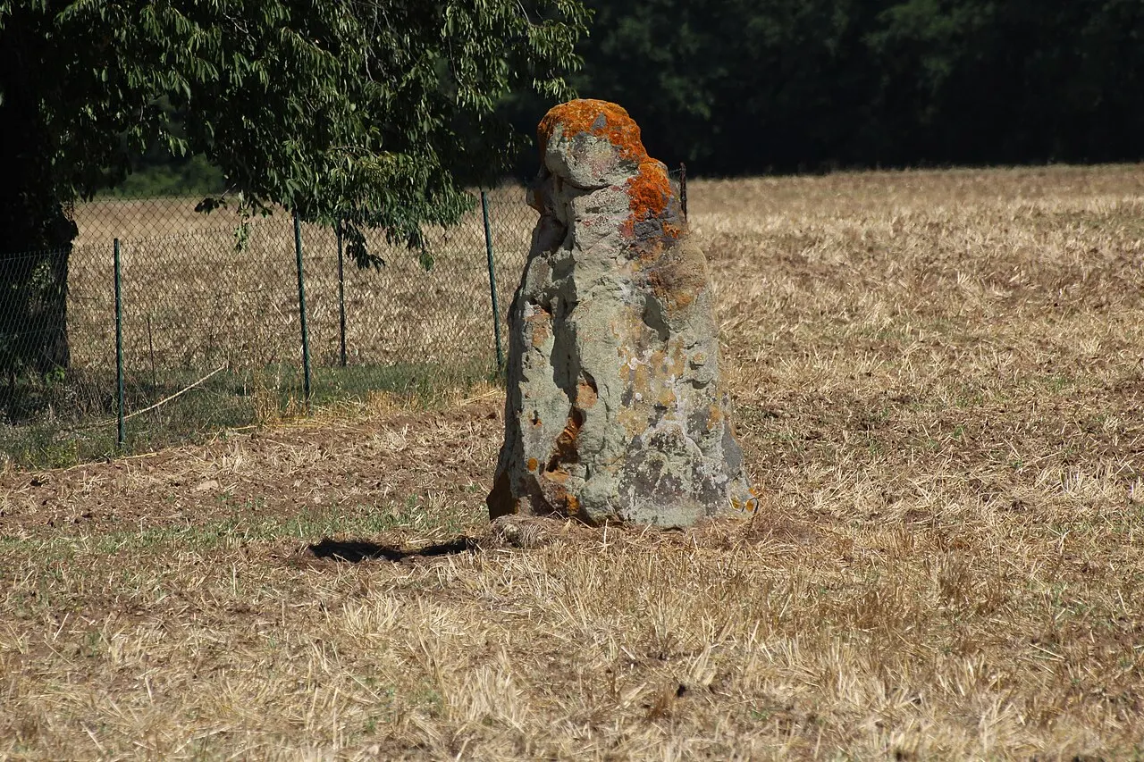 Menhir du Vieux-Poitiers
