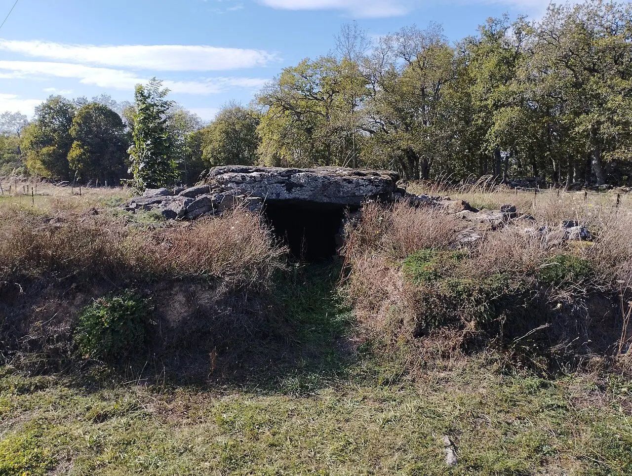 Grand dolmen de La Table au Loup ou Table de Maleu