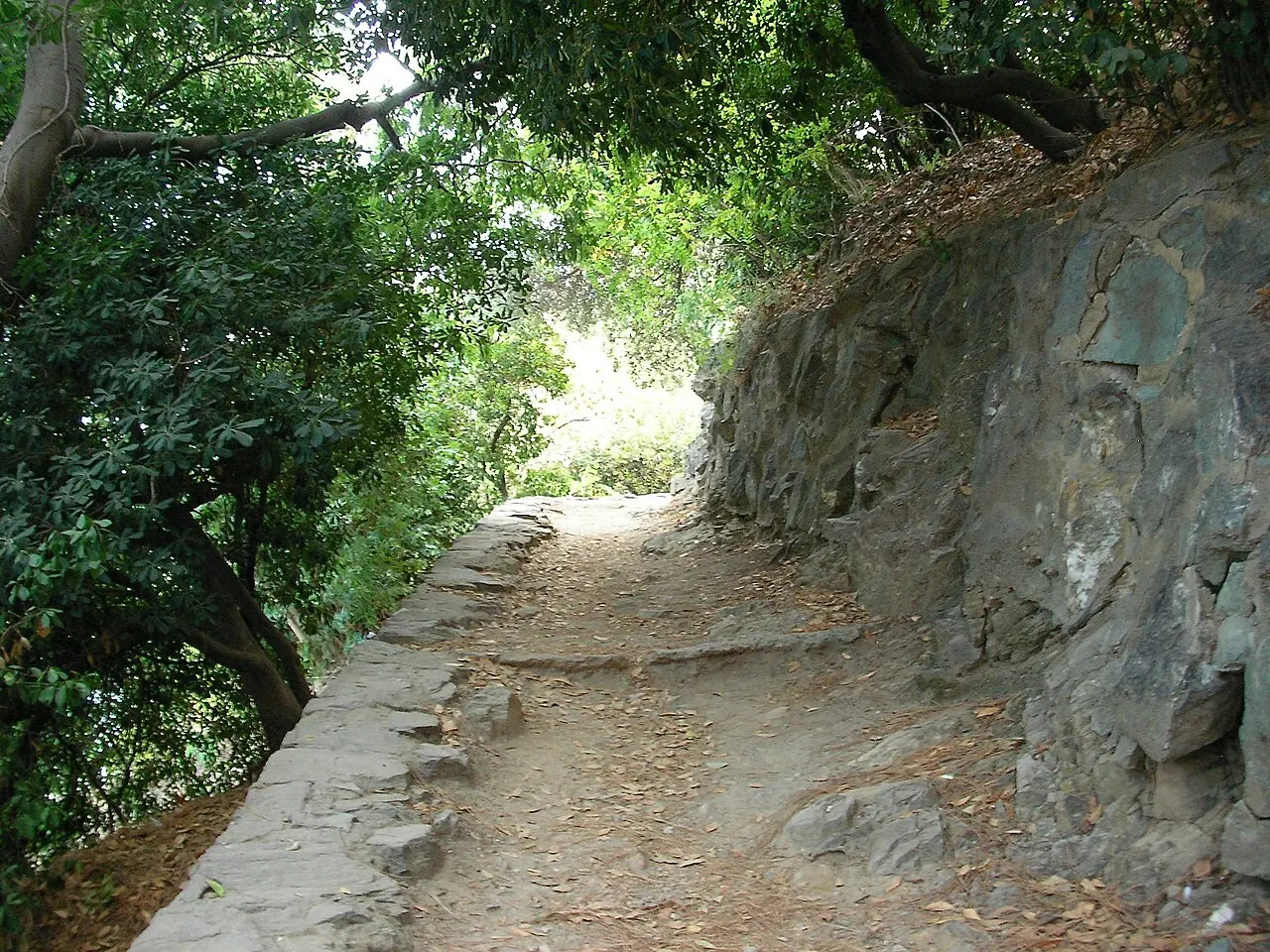 Jardin Romieu