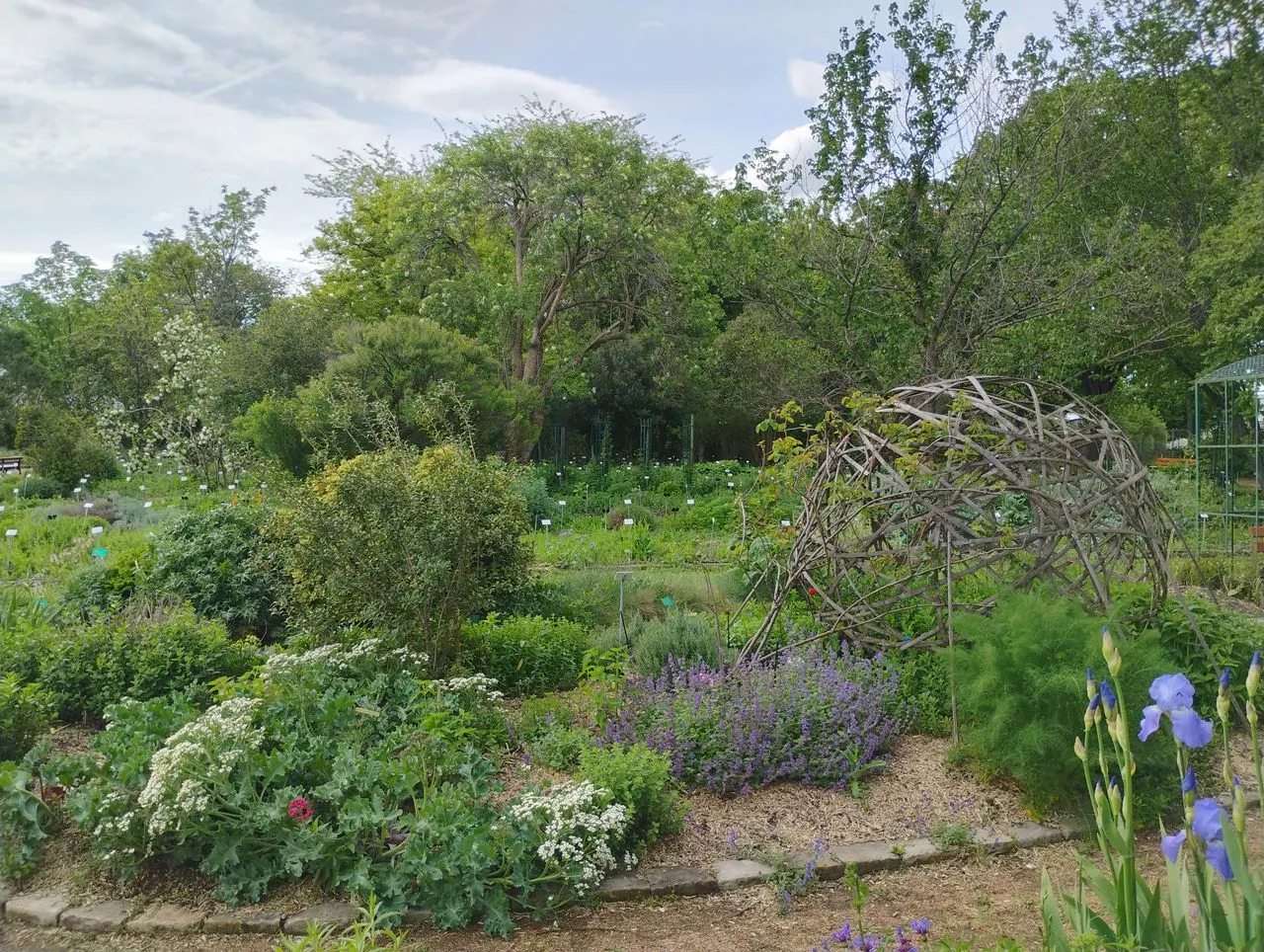 Jardin Botanique de la Charme