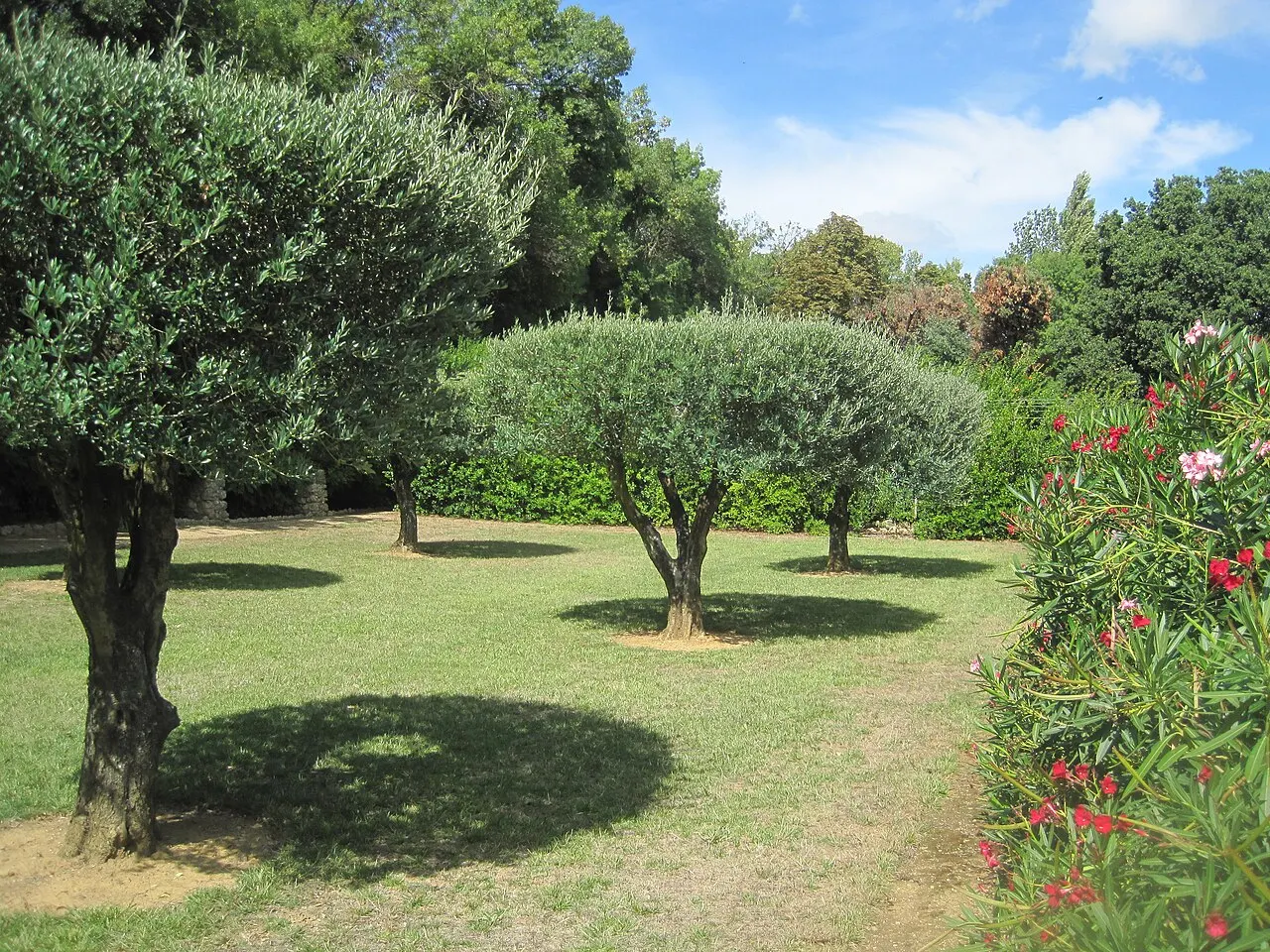 Parc du Château