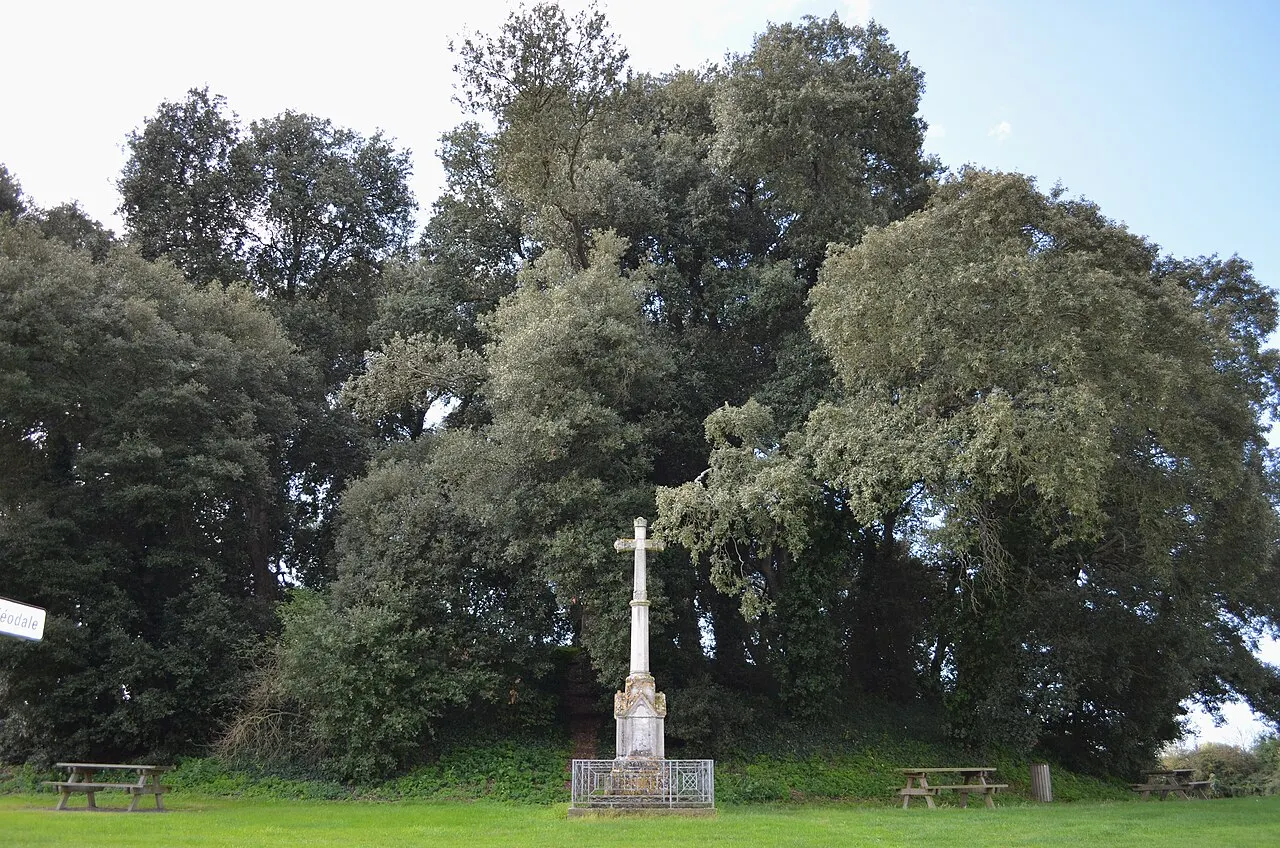 Motte féodale