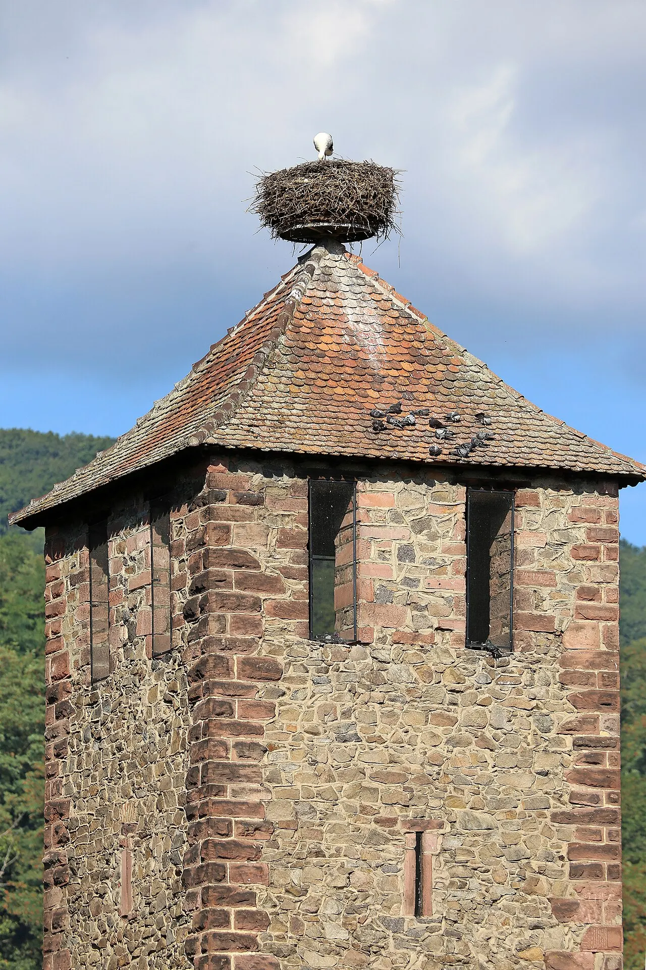 Kaysersberg