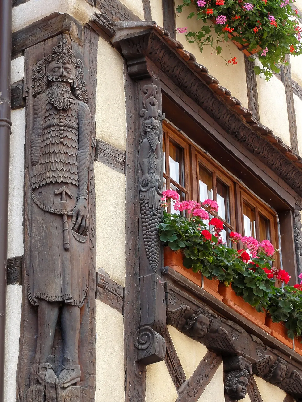 Maison