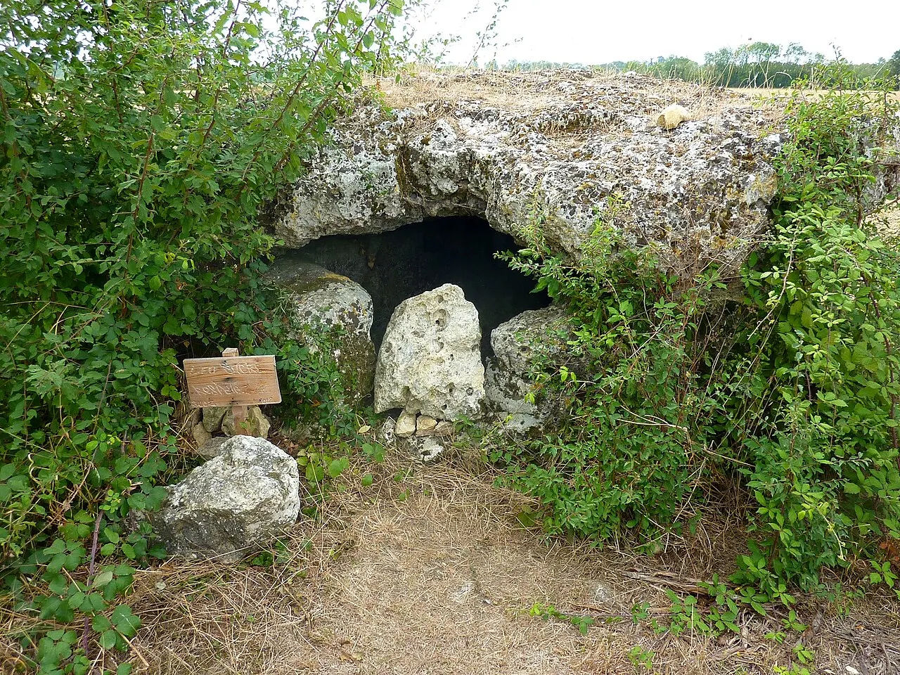 Les Pierres Closes (dolmen)