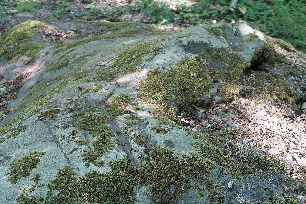 Polissoir du Sauvageon