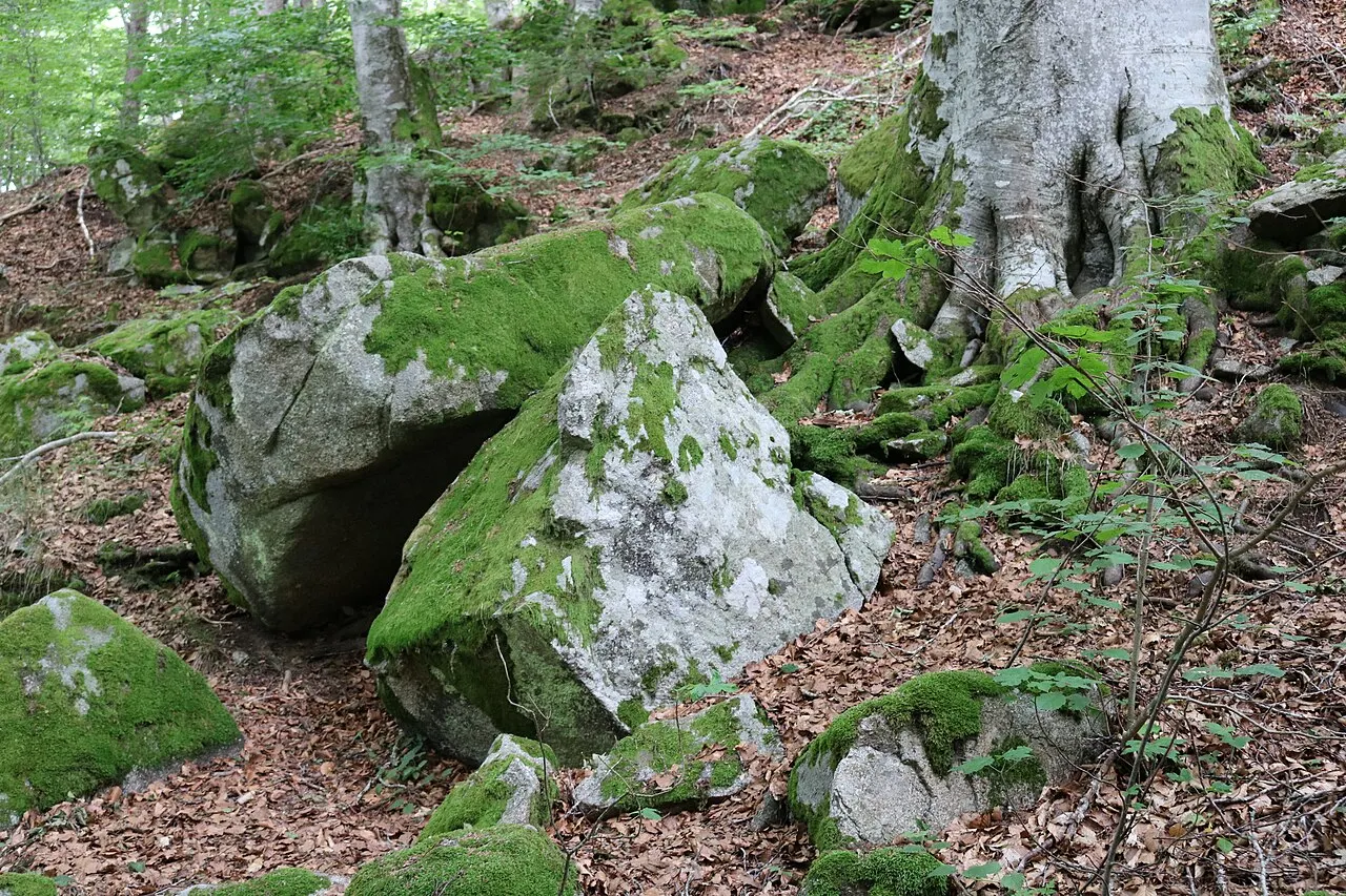 Dolmen de Vacheresse