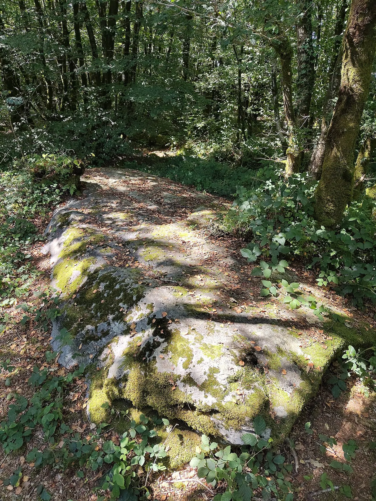 Menhir du bois du Duc