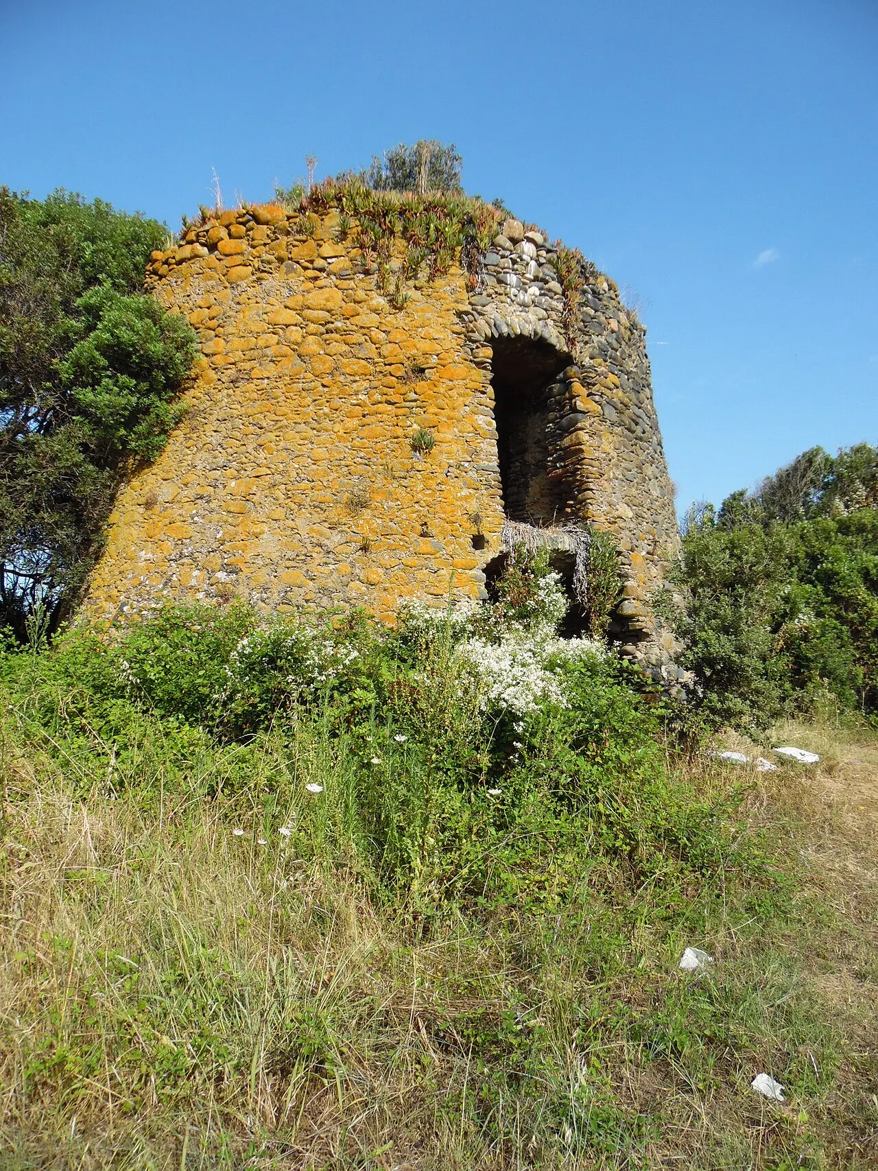 Tour de Fiorentina
