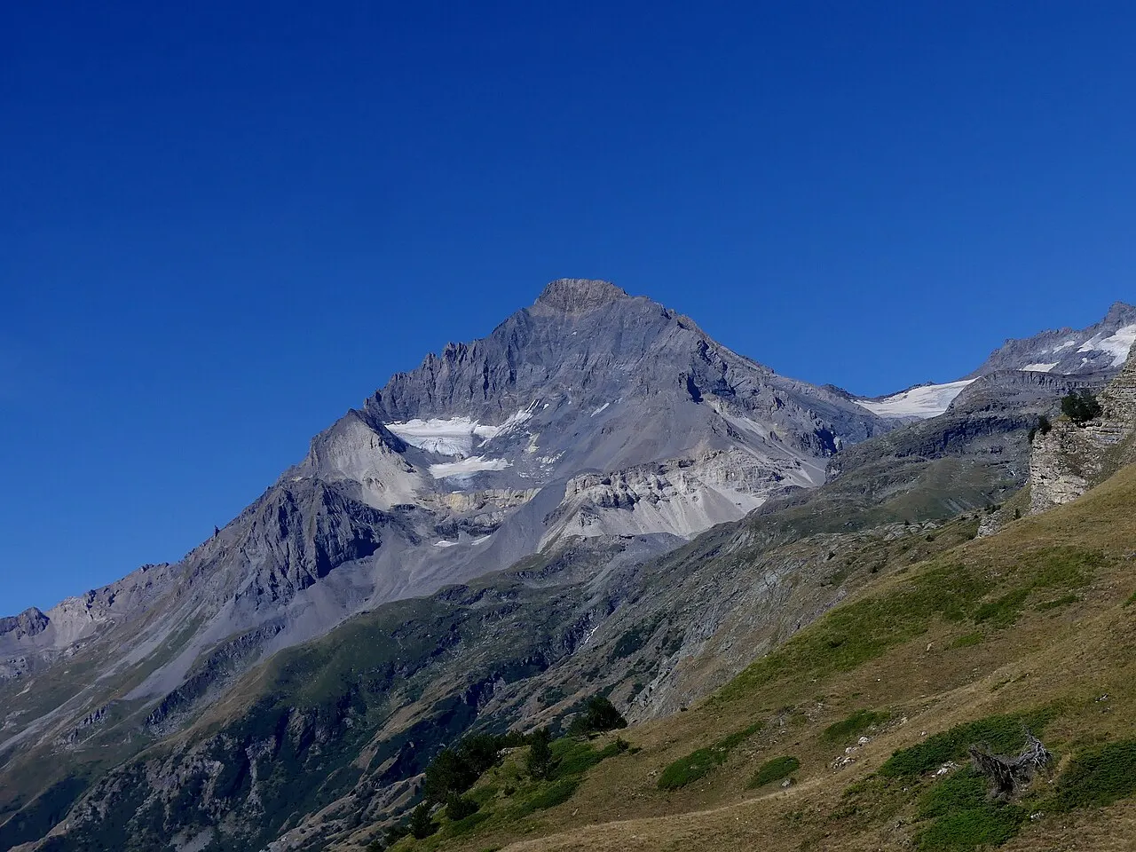 Dent Parrachée