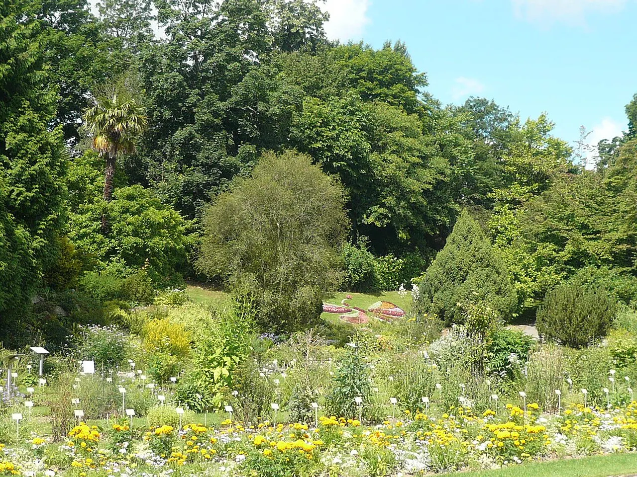 Jardin des Plantes