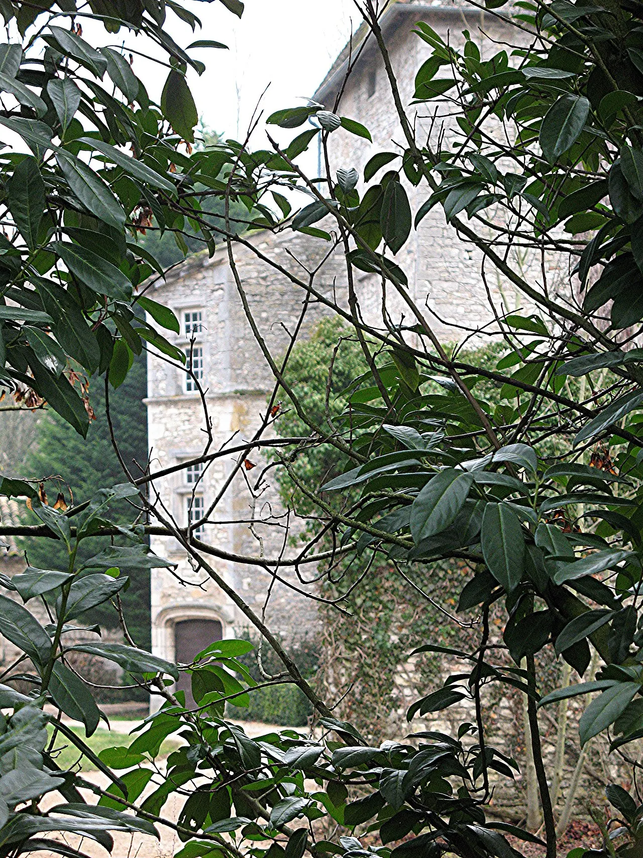 Château de Buffières