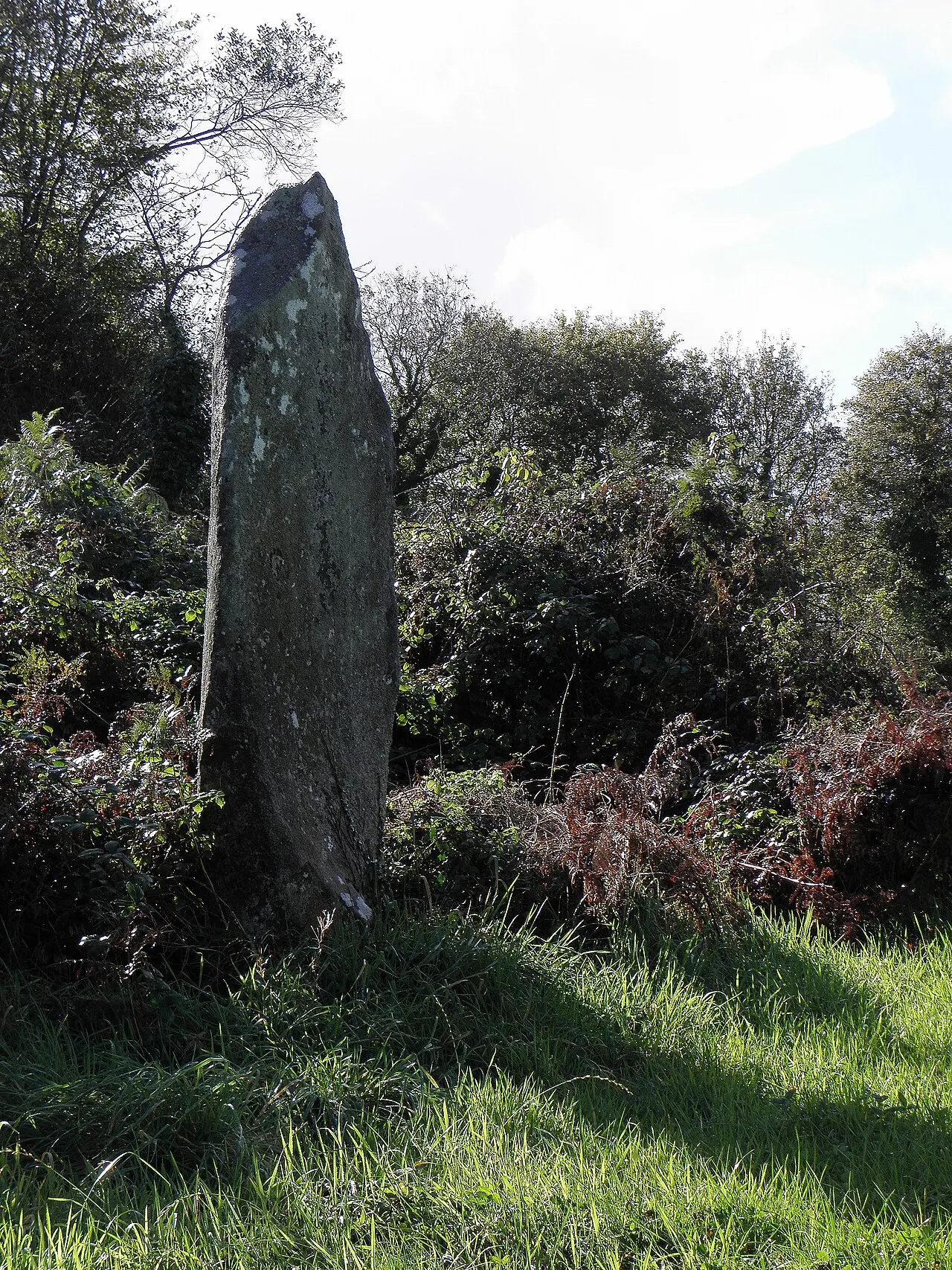 Alignement des menhirs de Leïtan