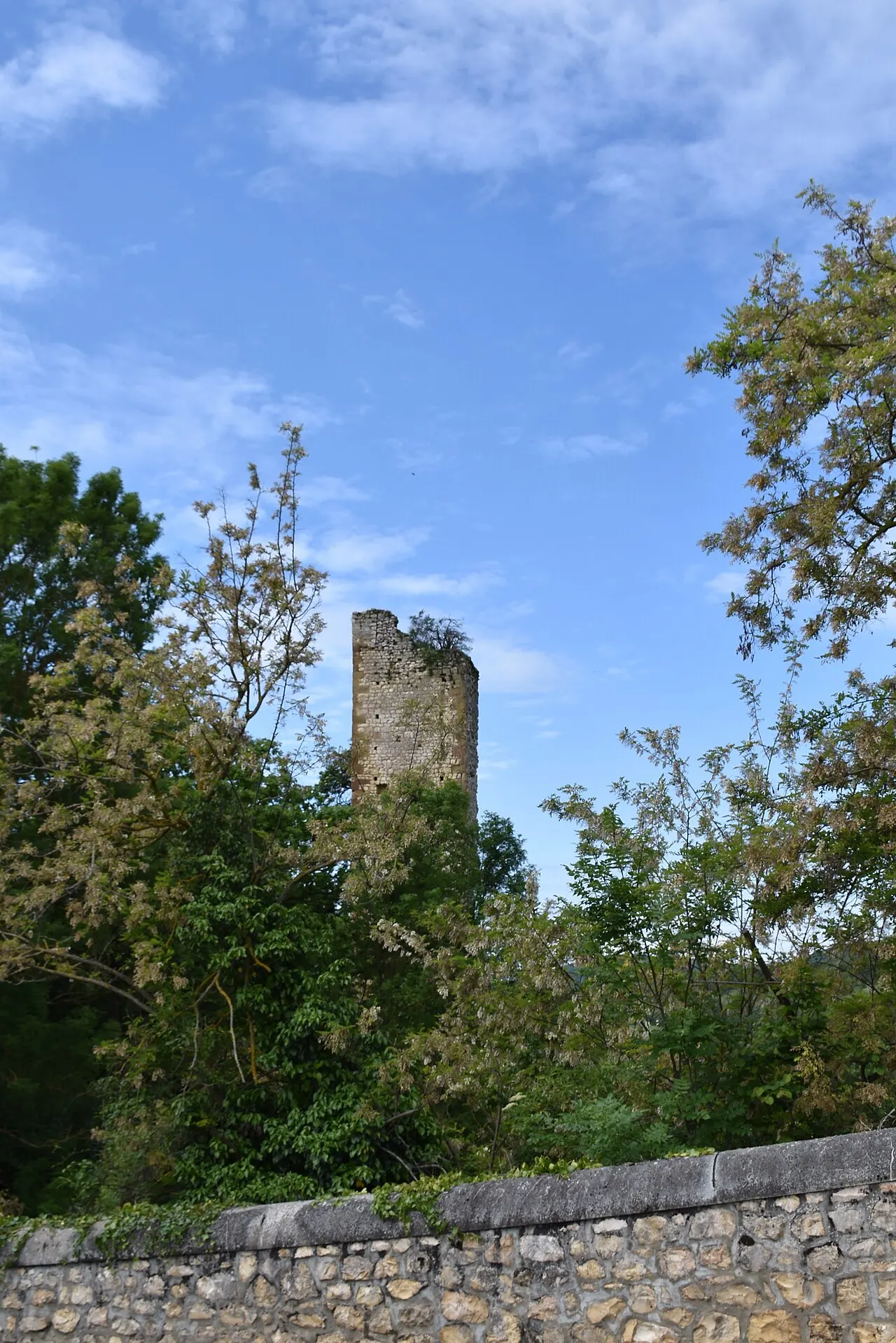 Restes du donjon