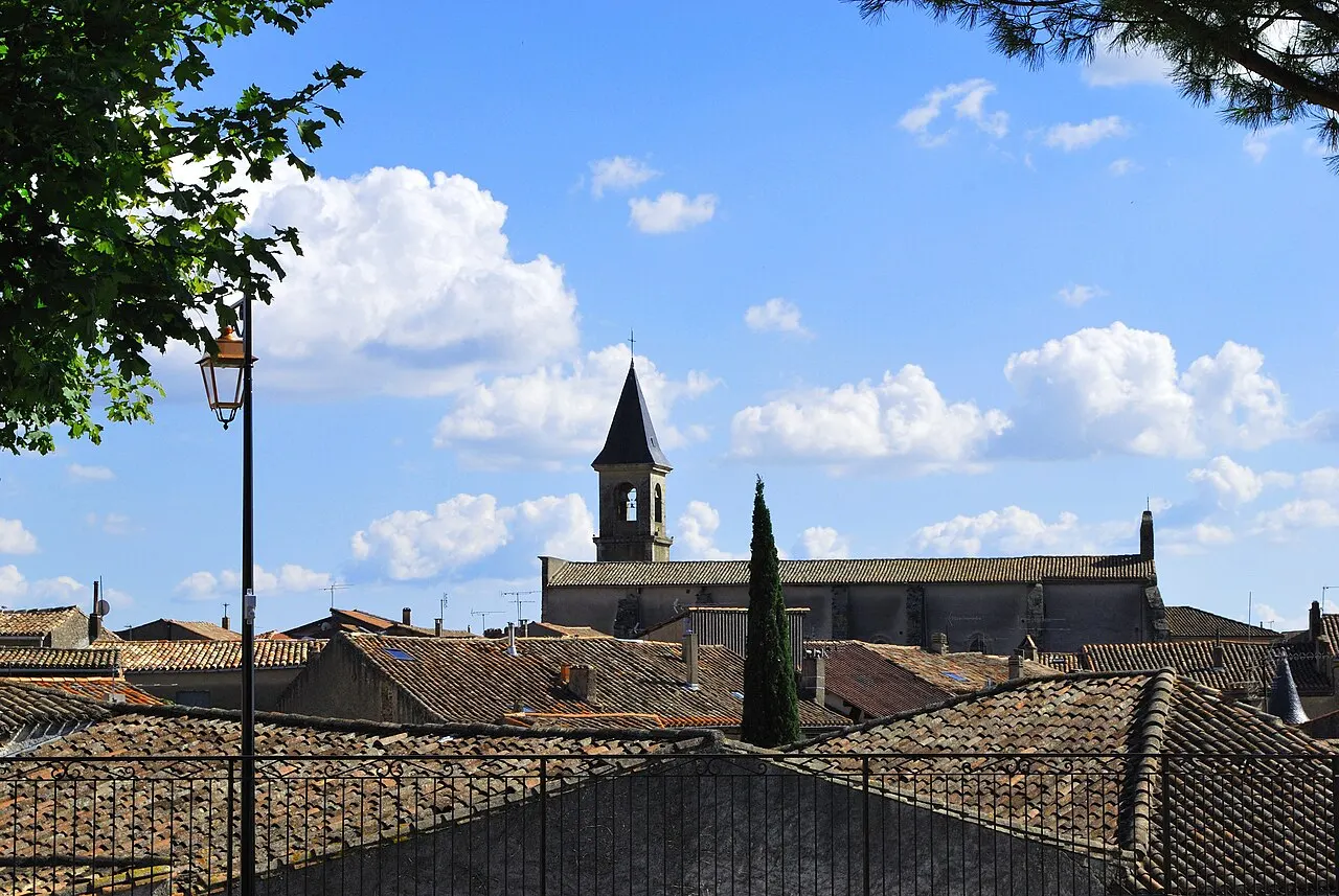 Collégiale Saint-Rémy