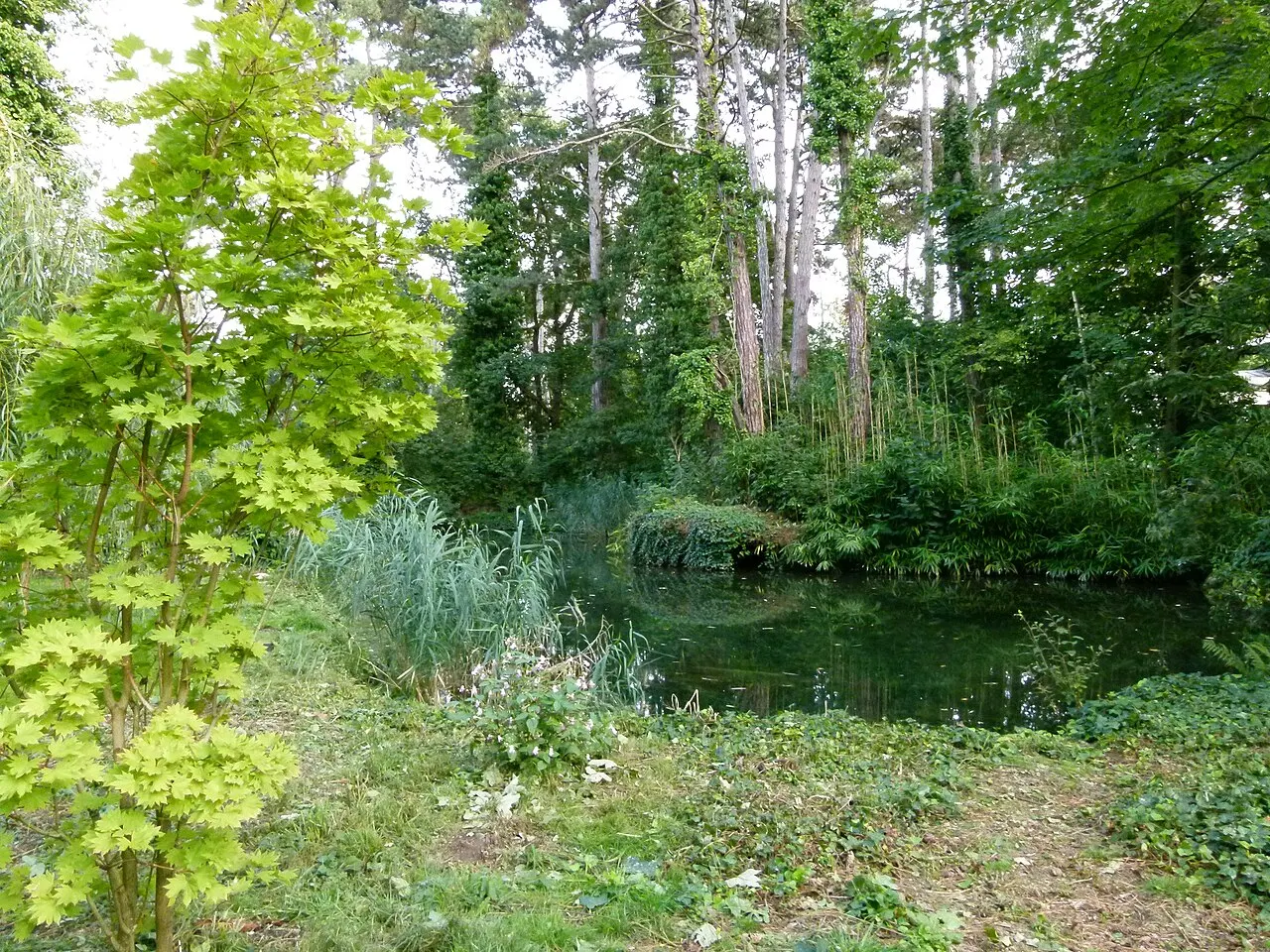 Jardin d’agronomie tropicale René-Dumont