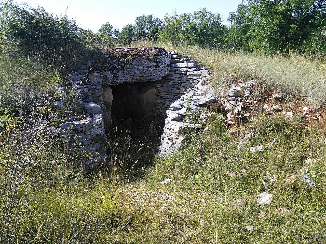 Dolmen des Aguals