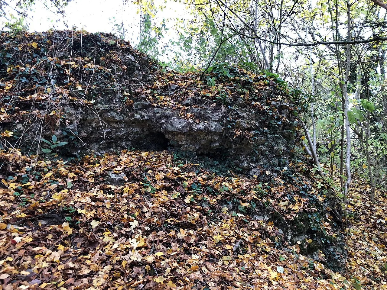 Motte médiévale du Plessis-Saint-Rémy