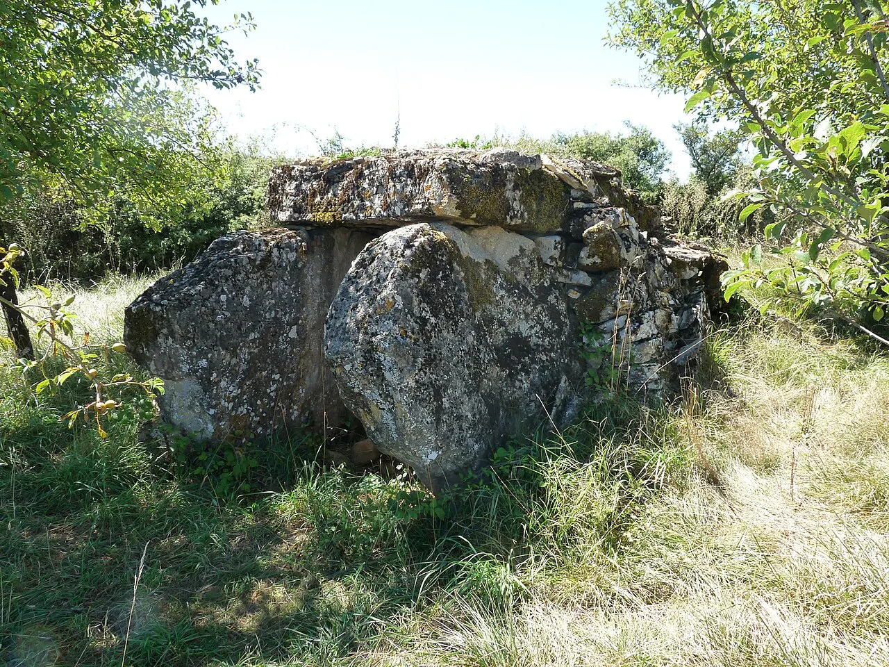 Dolmen du Puech de la Serre