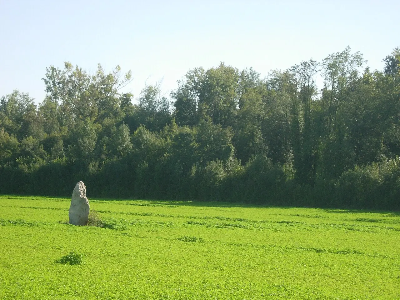 Menhir dit la Grande Pierre
