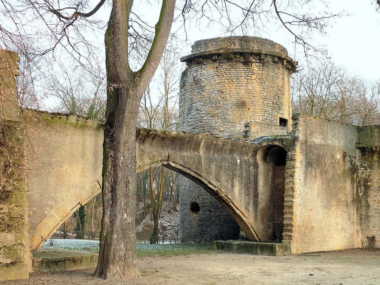 Pont des Basses-Grilles de la Seille
