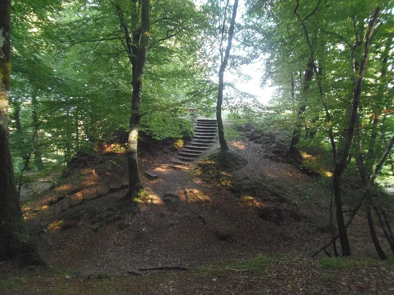 Motte castrale de Saint-Sever