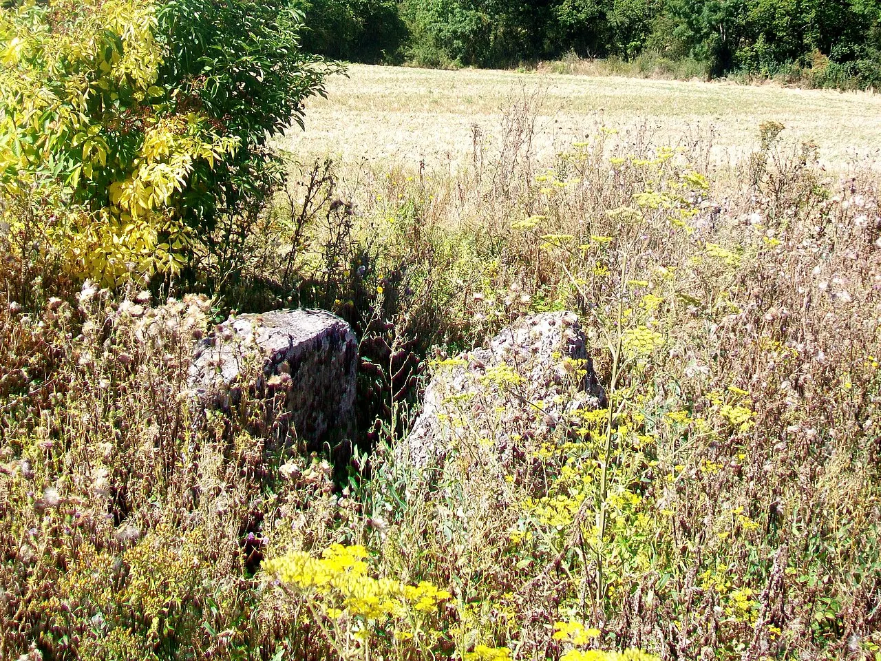 Dolmen de Copierre