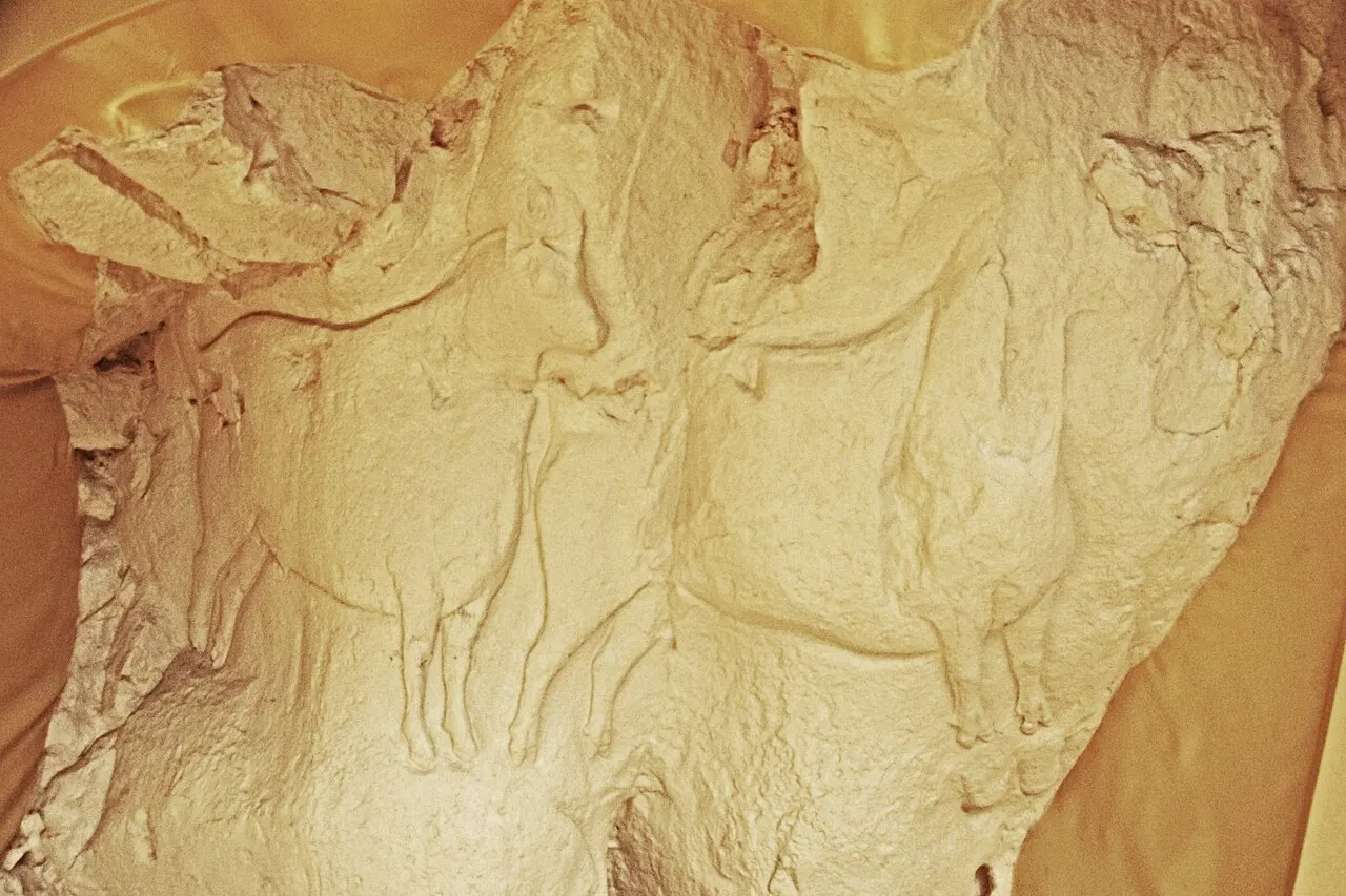 Abri du Roc aux Sorciers