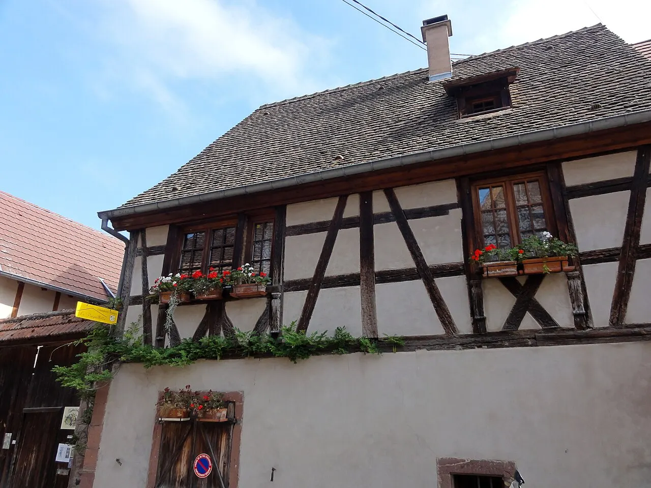 Maison