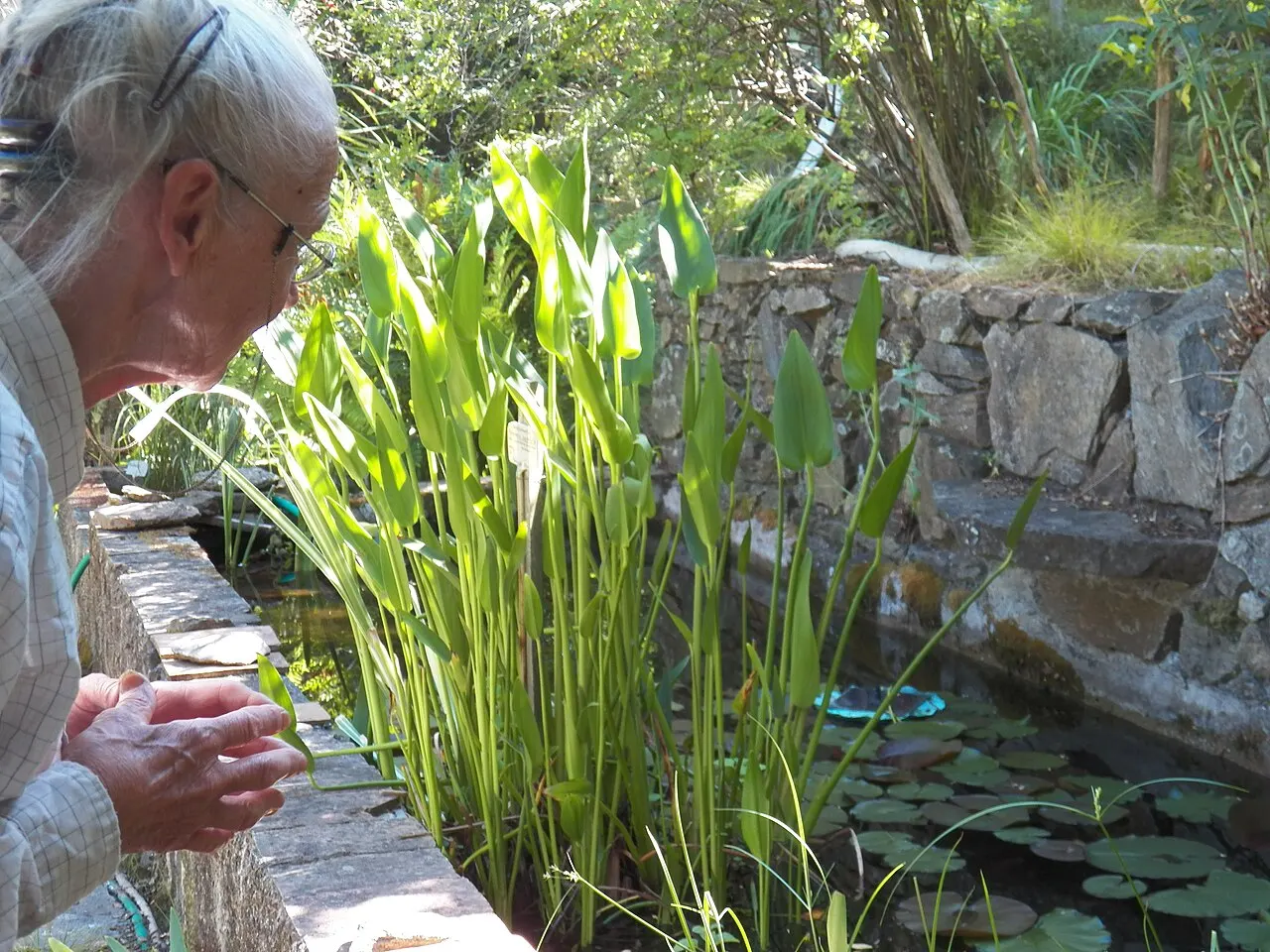 Jardin remarquable L’Hardy-Denonain