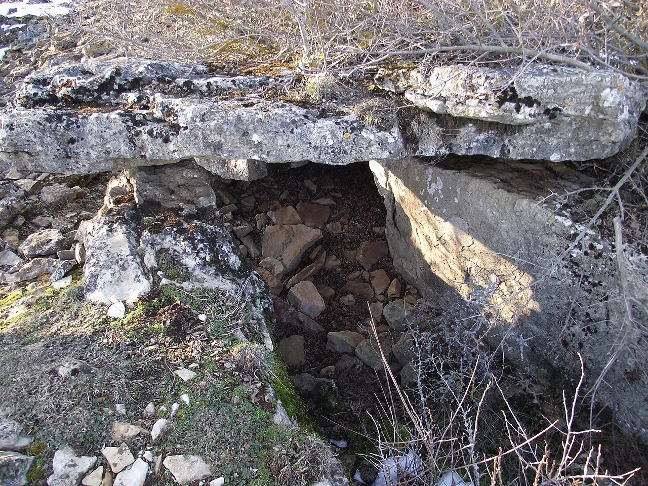 Site mégalithique du plateau de Poujoulet