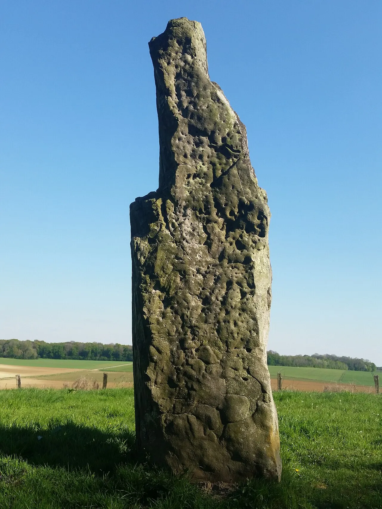 Menhir dit Le Verziau de Gargantua