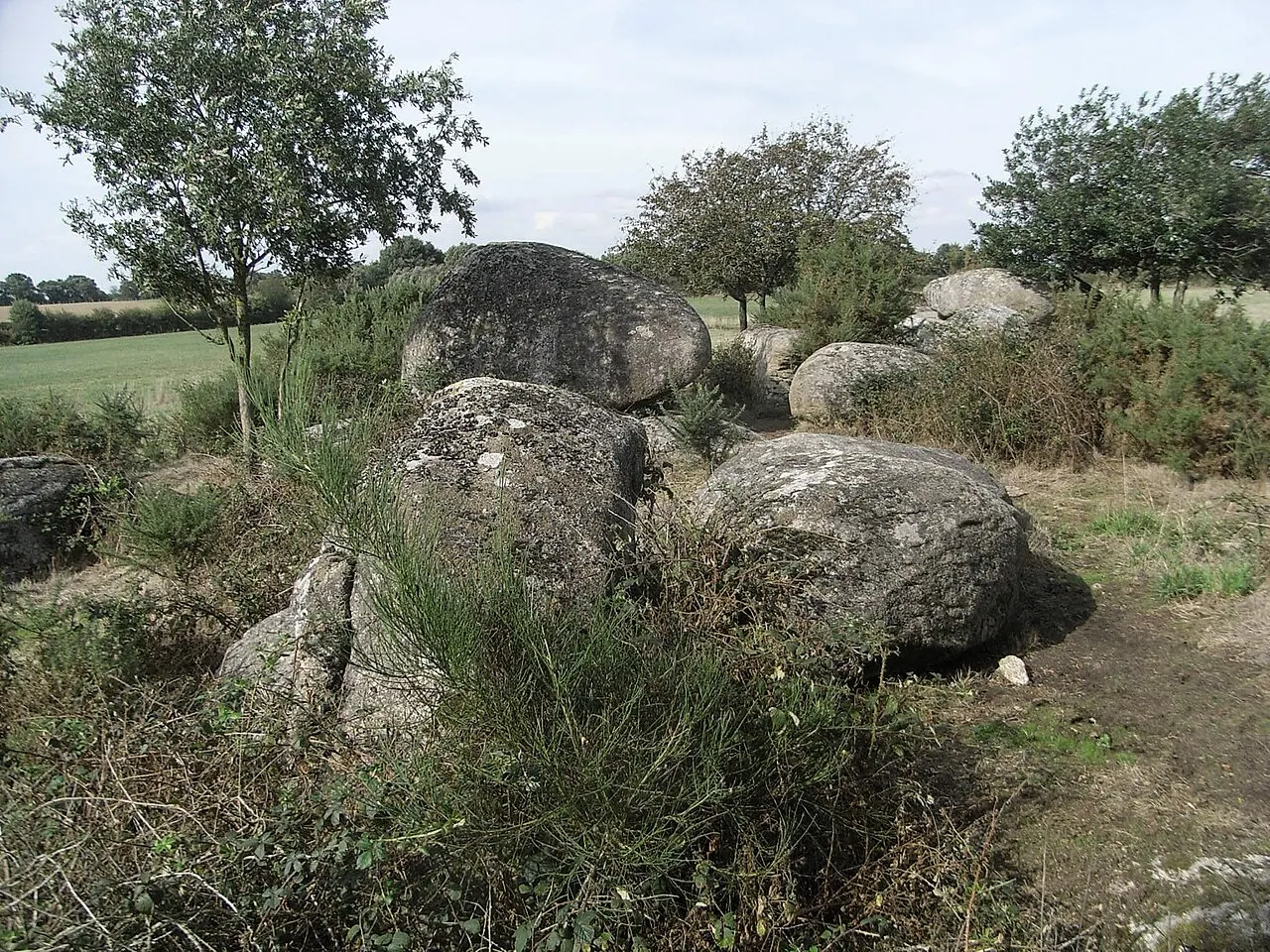 Menhir dit La Haute-Borne