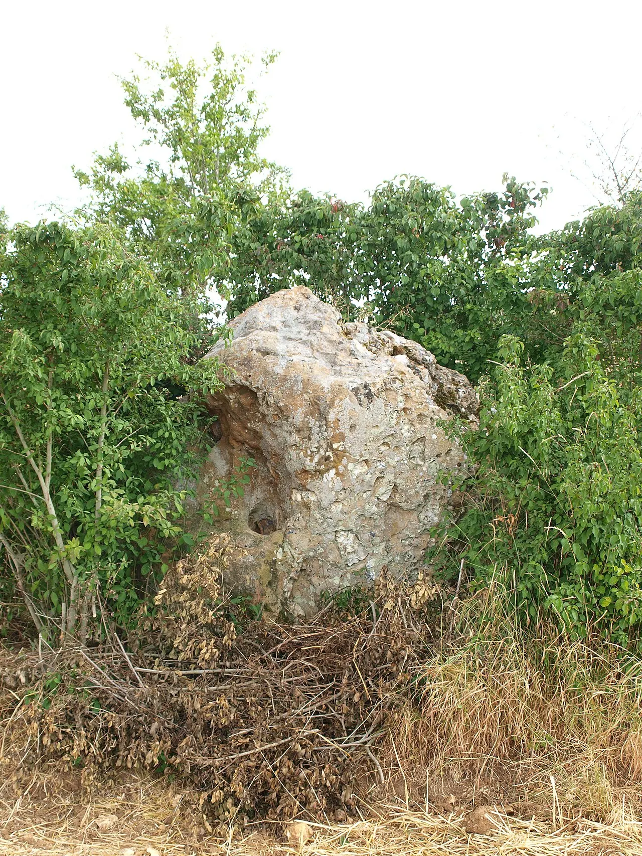 Menhirs de la Pierre-Fitte