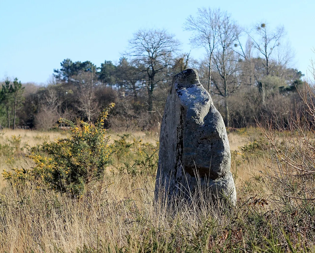 Menhirs de Kergo